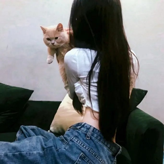 打板